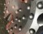 Click to view QL80 HAMMER BITS