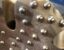Click to view 17 1-2 in SD12 Hammer Bit