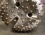 Click to view 17in SD12 Hammer Bit